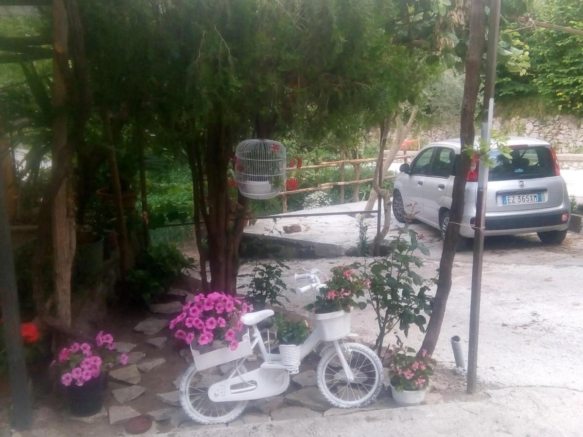 Amaa Casa Bed and Breakfast Vico Equense Buitenkant foto